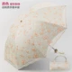 Sakura Apricot Color 30 % скидка