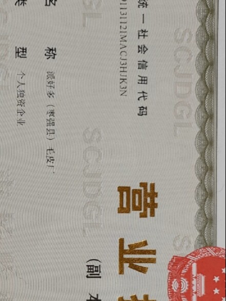 河北省大营镇派好多毛皮厂企业店