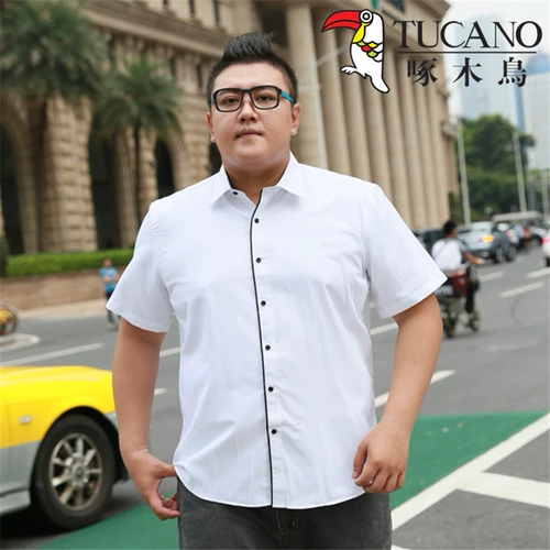 Летняя большая белая рубашка, короткий рукав, большой размер