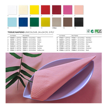 24 cm colored napkin tissue imported from Germany duni hotel Chinese and Western food wedding bar banquet