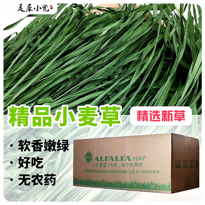 22 years of dried wheatgrass boxed pet bunny rabbit guinea pig chinchilla guinea pig grain dry pasture feed