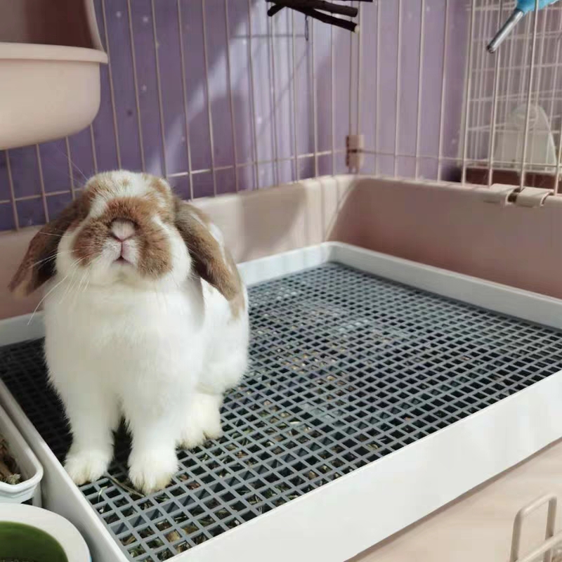 Pet Toilet Square Rabbit Shit Basin Large Capacity Dutch Pig Guinea Pig To Pee Cat Dog Pee Basin Good Clean