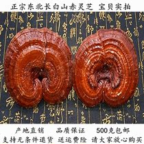 Ganoderma lucidum northeast Changbai Mountain pruning Chinese herbal medicine non-wild forest purple black Ganoderma lucidum 500g