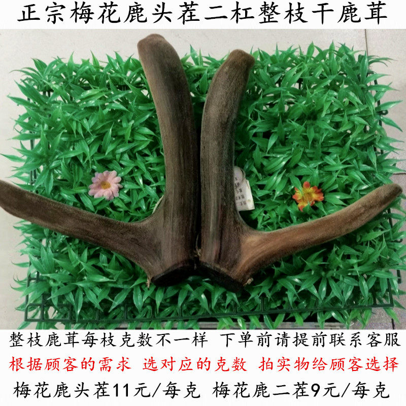 Whole Branches Dried Plum Flowers Deer Stubble 2 Bars Antler Pieces Full Wax Flakes Half Wax Flakes Red Powder White Blood Non 500 gr
