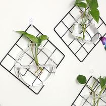 Creative hydroponic glass raising green grass hanging wall vase hanging wall hanging water flower pot Wall Wall