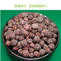 Sun Spring Srints Aller à la coquille sable Renery Ren Miyang Chunsand Spring Sand Kernel 50 gr