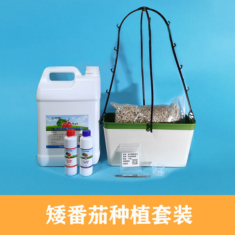 Hanging Garden Dwarf Tomato Planting Set Lazy Flower Pot Soilless Culture Nutrient Solution Set Flower Planting Vegetable Pot