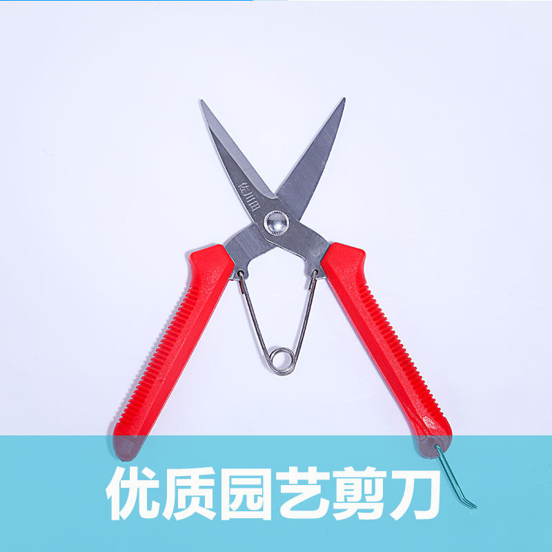 Qingdao sky garden fruit picking and cutting flowers flowers and vegetables tomato cucumber small scissors gardening tools green supplies