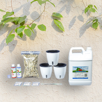 Soilless cultivation lazy flowerpot starter set window sill balcony planting vegetable garden sterile insect-free clean and beautiful