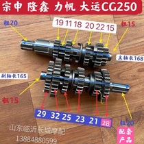 CG200 Zen Shenlongxin 250 LiFan Sail Big Transport Moteur à trois roues motos Main Paymaster Vice-Shaft Gear Gear engins