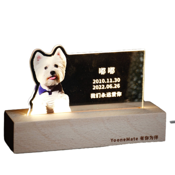 Everlasting lamp pet souvenir, deceased dog, cat paw prints, hair commemorative photo frame, ashes photo customization