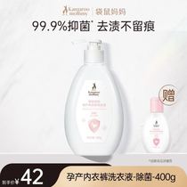 Kangaroo Mom Antibacterial Underwear Laundry Detergent 500ml Maternity Underwear Decontamination and Antibacterial Cleaning Liquid Underwear