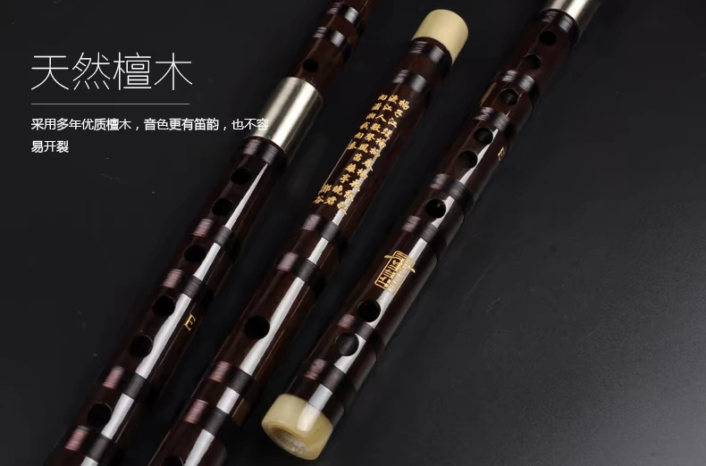 Dong Shenghua, sáo mun, sáo, sinh viên tre, g, f, biểu diễn chuyên nghiệp, người mới bắt đầu, giới thiệu về nhạc cụ, sáo - Nhạc cụ dân tộc