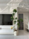 Haohongjingpin Duckbill Tree Artificial Green Plant Indoor Bionic Potted Plant High-End Light Luxury Living Room Large Floor-Standing Fake Plant