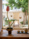 Sea Rainbow Scenery, Lotus for Prosperity, Potted Lotus Plant, Artificial Greenery, Landscaping, Wall Niche, Entrance Hall, Tea Room, Chinese Zen-Style Ornament