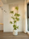 High-End Luxury Artificial Green Plant, Large Fake Tree Potted Decoration for Indoor Living Room, Featuring Golden-Edged Lily Bamboo