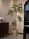Peacock Wood Fortune Tree Artificial Green Plant Decoration for Living and Dining Room, Large Fake Floor-Standing Potted Plant, High-End Vintage Atmosphere