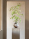 Artificial Maple Greenery and Flowers in a Modern Song-Style Aesthetic for Tea Room Decoration, High-End Entryway Ornament, and Luxurious Bonsai