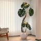 High-End Luxury Artificial Monstera Plant, Faux Tree, Indoor Bio-Inspired Flower, Large Floor-Standing Potted Plant for Living Room