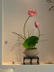 Lotus Bonsai Decorative Ornaments, Artificial Flowers, Realistic Entrance Hall, Tea Room, Song Dynasty Aesthetics, New Chinese Style Desktop High-Footed Basin