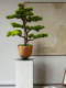 Five-Needle Welcoming Pine Artificial Green Plant Bonsai, High-End Light Luxury New Chinese Style Living Room Tea Room Decoration, Zen-Style Entrance Decoration