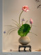 Lotus Bonsai Decorative Ornaments, Artificial Flowers, Realistic Entrance Hall, Tea Room, Song Dynasty Aesthetics, New Chinese Style Desktop High-Footed Basin