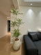 Haohong Jingpin Nantian Bamboo Artificial Green Plant Pu Indoor Living Room Simulated Fake Tree High-End Light Luxury Large Floor-Standing Potted Plant
