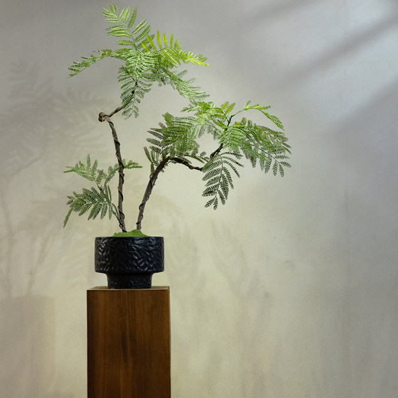 Jacaranda Artificial Green Plant, High-End Light Luxury Chinese Zen Style Desktop Plant, Small Potted Plant, Entrance Hall Fake Flower Decoration