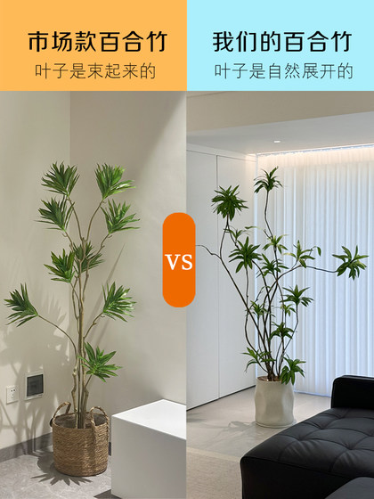Haohongjingpin Lily Bamboo Artificial Green Plant Indoor Living Room Simulated Tree High-End Light Luxury Flower Large Floor-Standing Potted Plant