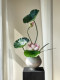 Lotus Bonsai Artificial Flowers with a High-End, Realistic Feel, Suitable for Entrance Halls, Tea Rooms, Song Dynasty Aesthetics, New Chinese Style Desktop Decoration Ornaments