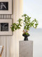 Shui Shi Rong bonsai simulated green plants and artificial flowers, high-end realistic ornaments, entrance tea table, medieval sofa decorations