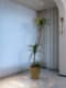 Haohongjingpin Dragon's Blood Tree Artificial Green Plant, High-End Light Luxury Indoor Living Room, High-Class Large Floor-Standing Potted Plant Decoration