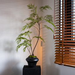 Asparagus Fern Artificial Green Plant Fake Flower High-End Antique Style New Chinese Style Tea Room Decoration Zen Entrance Decoration Small Bonsai