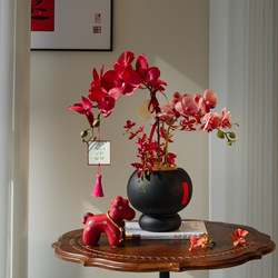 Phalaenopsis Artificial Flower Potted Plant Housewarming Decoration Luxury High-End Entrance Hall Living Room Decoration Festive