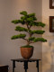 Five-Needle Welcoming Pine Artificial Green Plant Bonsai, High-End Light Luxury New Chinese Style Living Room Tea Room Decoration, Zen-Style Entrance Decoration