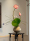 Lotus Bonsai Decorative Ornaments, Artificial Flowers, Realistic Entrance Hall, Tea Room, Song Dynasty Aesthetics, New Chinese Style Desktop High-Footed Basin