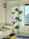 Haohong Jingpin Happiness Tree Artificial Green Plant, High-End Light Luxury Indoor Living Room Bionic Large Potted Plant, Floor-Standing Fake Plant