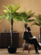 Simulated green plant, sunflower, coconut palm tree, large indoor living room, high-end light luxury decoration, floor-standing bionic fake plant