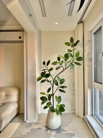 Haihong Jingpin Alpine Ficus simulated green plant PU raw high-end light luxury living room indoor fake flower tree large floor-standing potted plant