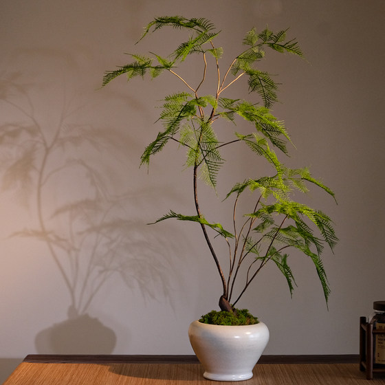 Asparagus artificial green plants, artificial flowers, high-end antique style, new Chinese tea room decoration, Zen entrance ornaments, small bonsai