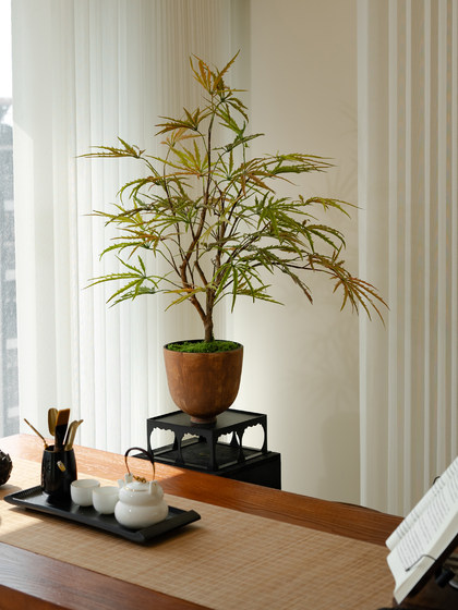 Colorful Gradient Peacock Wood Fortune Tree, Artificial Green Plant, High-End Decorative Ornament, Fake Flower, Small Potted Plant, Vintage Tea Room