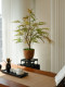 Colorful Gradient Peacock Wood Fortune Tree, Artificial Green Plant, High-End Decorative Ornament, Fake Flower, Small Potted Plant, Vintage Tea Room