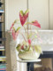 Haohong Jingpin Pepper Mint Artificial Flower Colorful Taro Leaves High-End Living Room Fake Plant Decoration French-Style Entrance Bonsai