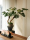 Dragon Scale Angel Artificial Green Plant, High-End Light Luxury Living Room Indoor Artificial Flower, Spring Feather Tea Room Atmosphere Vintage Decoration