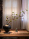Wabi-Sabi Style Mountain Return Artificial Green Plant Light Luxury High-End Song Dynasty Aesthetics Dining Table Living Room Chinese-Style Entrance Zen Decoration