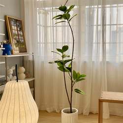 Simulated Green Plant Rubber Tree Banyan Indoor Living Room Decoration Bionic Fake Plant Potted Classy Accessible Luxury Flower Floor-Standing Ornaments