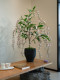 Blue and Pink Silk Jasmine Artificial Green Plant Fake Flower for Living and Dining Room, High-End Realistic Touch, Small Vintage Decorative Ornament