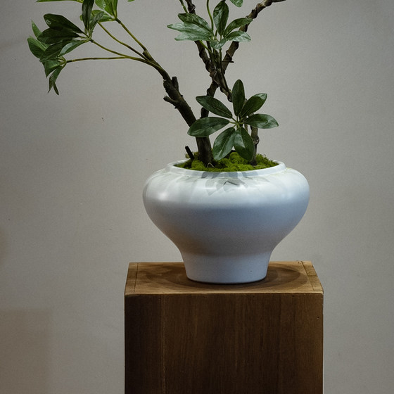 Duckbill Tree Artificial Green Plant High-End Light Luxury Desktop Living Room Tea Room Entrance Decoration Fake Flower Small Potted Plant Ornament