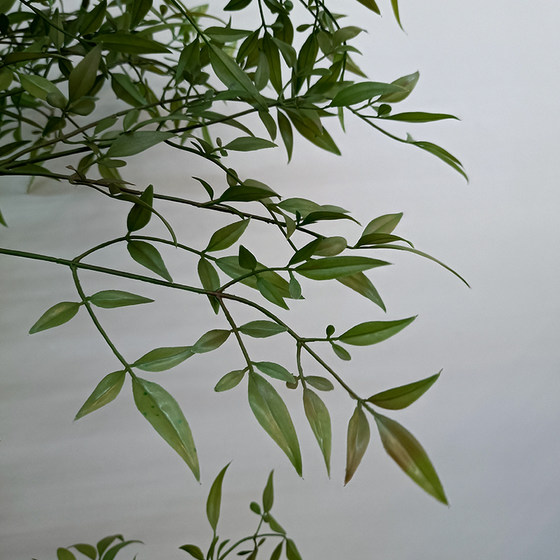 Artificial Green Plant, Nandina Bamboo Plant Decoration, Large Fake Tree, Living Room Floor-Standing Potted Plant Ornament, Nordic Bonsai