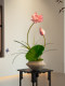 Lotus Bonsai Decorative Ornaments, Artificial Flowers, Realistic Entrance Hall, Tea Room, Song Dynasty Aesthetics, New Chinese Style Desktop High-Footed Basin